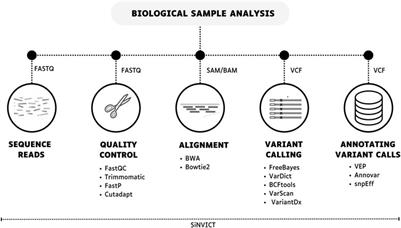 From haystack to high precision: advanced sequencing methods to unraveling circulating tumor DNA mutations